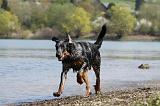 BEAUCERON 665